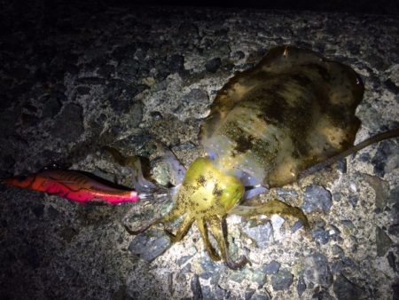 久々の泉南で～～