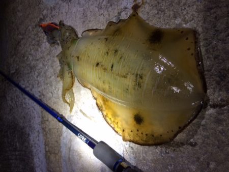 まぁまぁサイズ♪