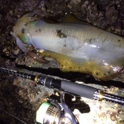 アタリはあっても・・・