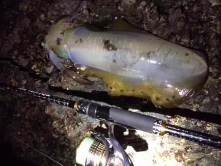 アタリはあっても・・・