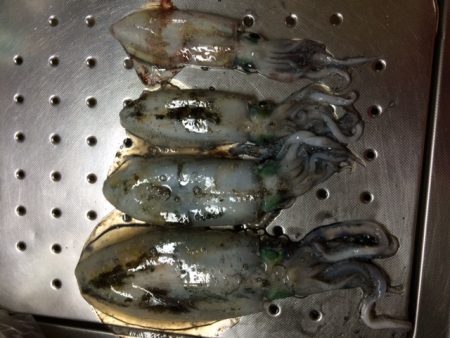 釣るまで帰らん