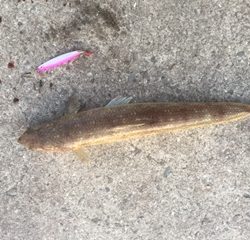 ベタベタの海でした