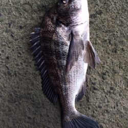 激安メタルバイブで爆釣！