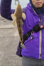 雨の紀ノ川フラットゲーム