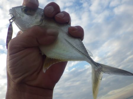 メッキ まだ釣れてます。