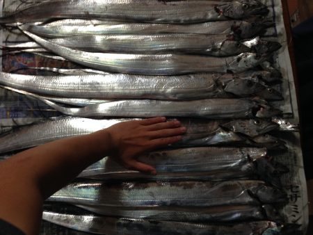 初投稿!タチウオ釣り!