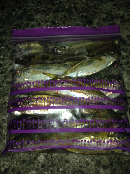 タイミング次第