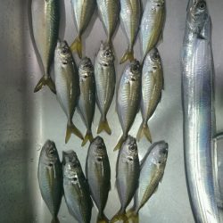 エサ釣りしながらのワインド