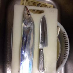 北風が強かったけどなんとか一匹