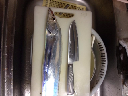 北風が強かったけどなんとか一匹