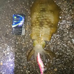 雨やけど・・・行くの!?