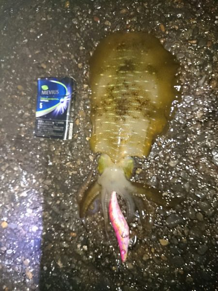 雨やけど・・・行くの!?