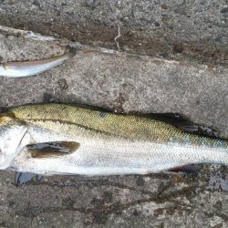 キスGET！！(笑)