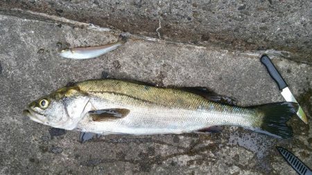 キスGET！！(笑)