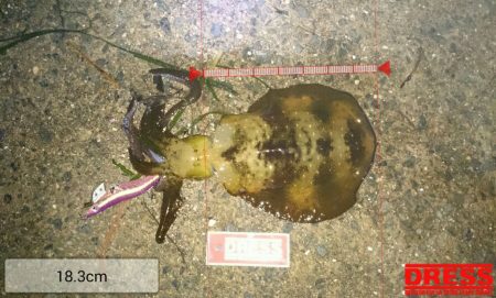 まさか!?この時期に…