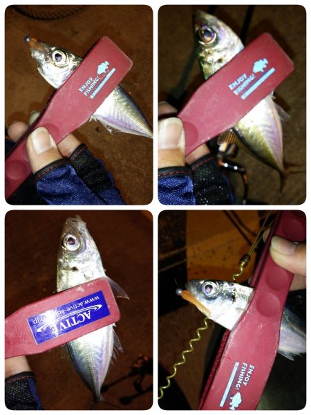 爆風アジング修行