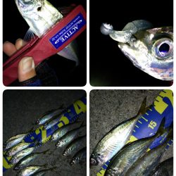 朝マヅメアジング