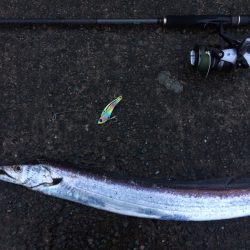 西宮ケーソン早朝タチウオ