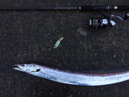 西宮ケーソン早朝タチウオ