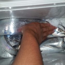 そろそろシーズン終盤？