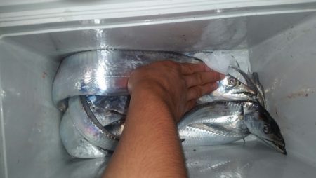 そろそろシーズン終盤？