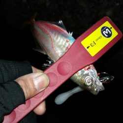 ルーティン破りでヒット