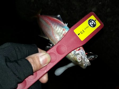 ルーティン破りでヒット