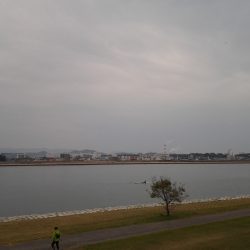 リベンジマゴチ！