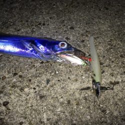 寒かった！(笑)