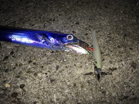 寒かった！(笑)