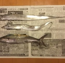 １００円ジグの威力