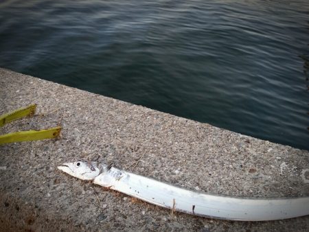 100均のメタルジグでタチウオ