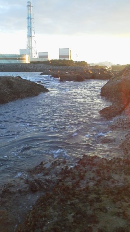 グレ3匹・・・・・イサキ8匹・・・・ベラ1匹・・・