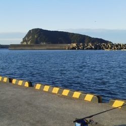 魚おらず・・・やっと20cmグレ・・・