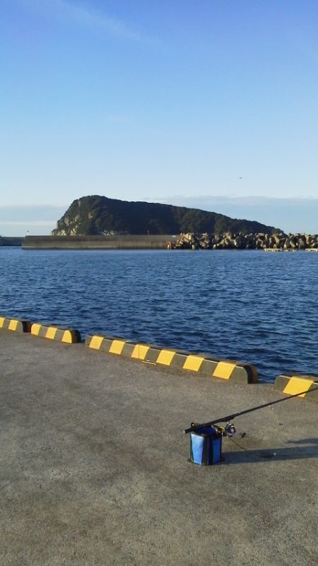 魚おらず・・・やっと20cmグレ・・・