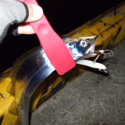 まだまだいけそうです