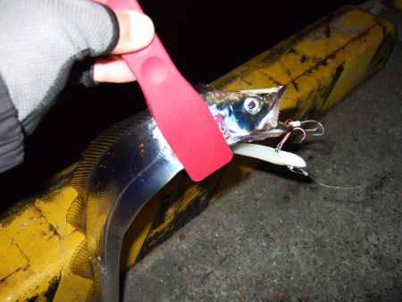 まだまだいけそうです