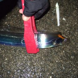 濡れたかいがありました