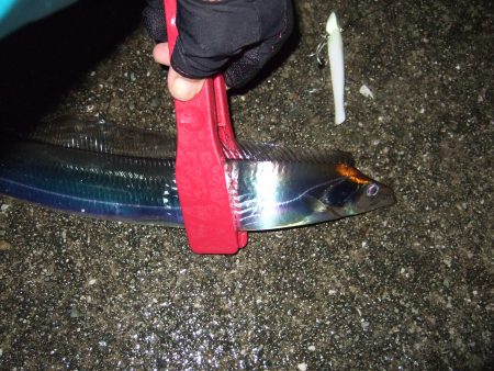 濡れたかいがありました