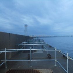 雨天、早朝～タチウオのウキ釣り