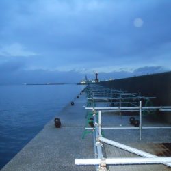 雨天、早朝~ウキ釣りでタチウオ狙い