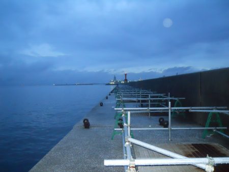 雨天、早朝~ウキ釣りでタチウオ狙い