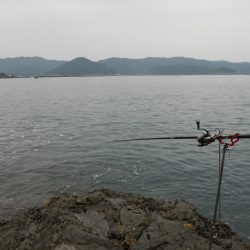 磯でヤエンのアオリイカとカワハギの二刀流!?