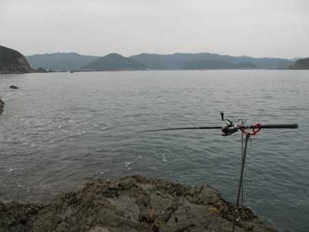 磯でヤエンのアオリイカとカワハギの二刀流!?