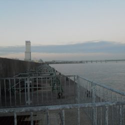 早朝～ウキ釣りでタチウオ狙い