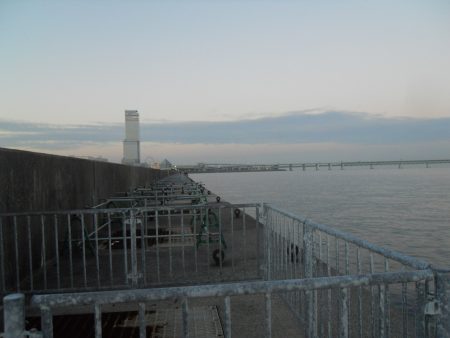 早朝～ウキ釣りでタチウオ狙い