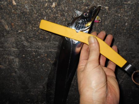 ちょこっとだけメッキ＆タチウオゲーム