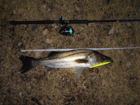 渋い状況の中でのヒット。