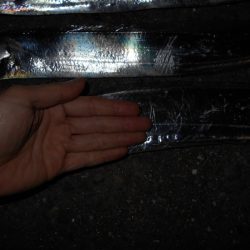 フォール中に反応有り。