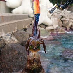 今年はもう終りかな～